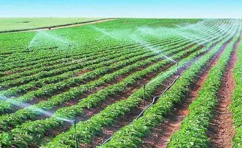 大鸡巴操屄在线播放农田高 效节水灌溉
